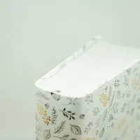 Bible SG21 Journal de bord souple Vivella blanc motifs dorés