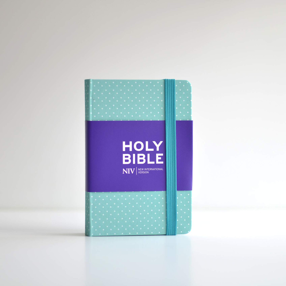 NIV Bible notebook mint