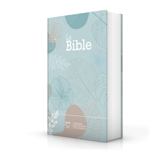 Bible SG21 rigide textile vert eau