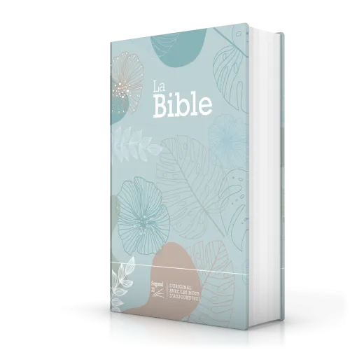 Bible SG21 rigide textile vert eau