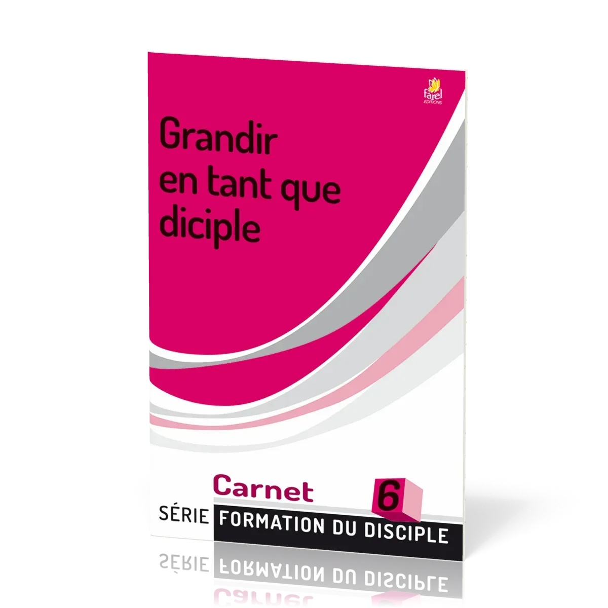 Grandir en tant que disicple - Formation du disciple 6