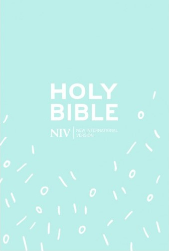 NIV Holy Bible mint pocket zip