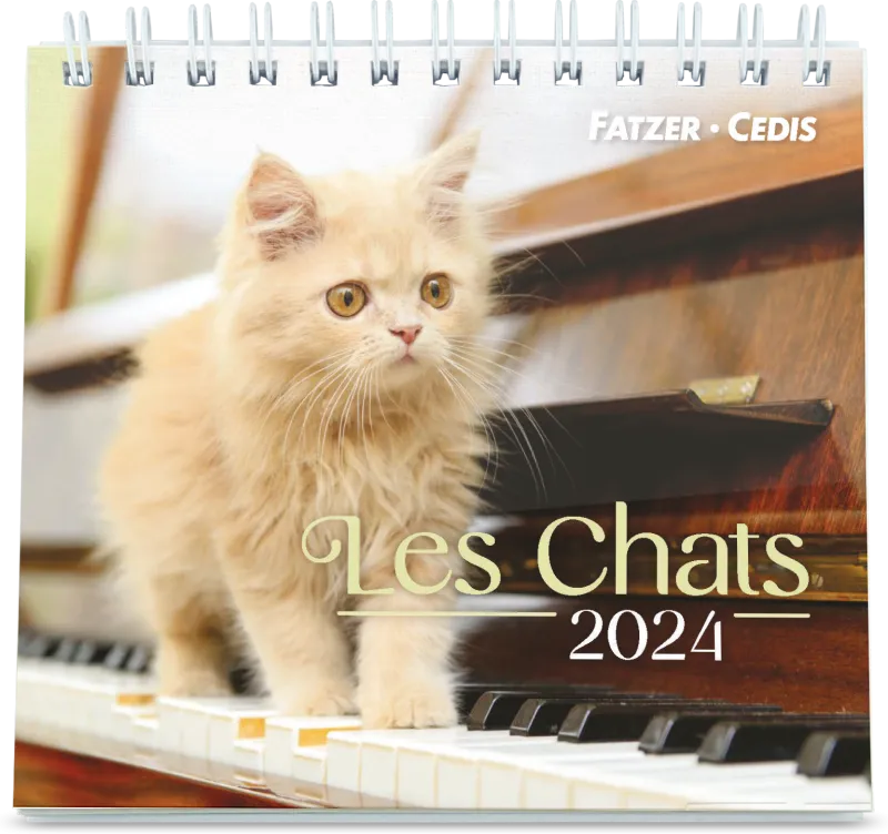 Calendrier - Les chats (petit format) - 2024 :: Le Bon Livre