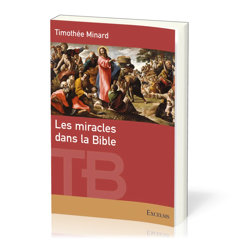 Miracles dans la Bible, Les