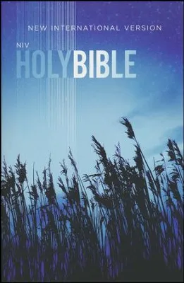 NIV Bible paperback blue