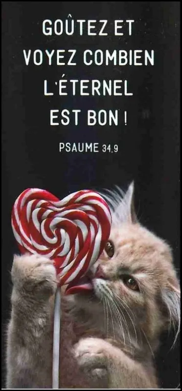 Marque-page magnet - Psaume 34:9