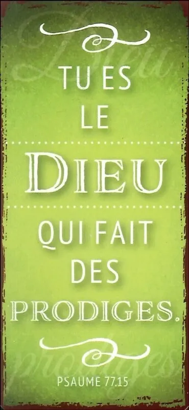 Marque-page magnet - Psaume 77:15