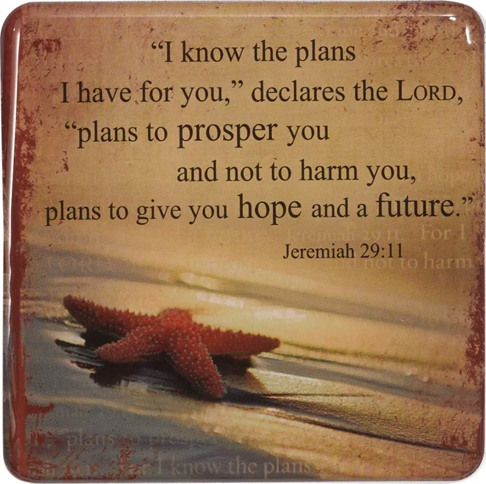 Magnet - I know the plans I have for you - Jeremiah 29:11