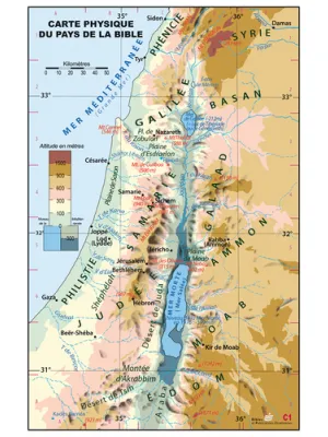 Carte murale - Carte physique de la Palestine