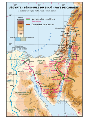 Carte murale Egypte - Péninsule de Sinaï - Pays de Canaan