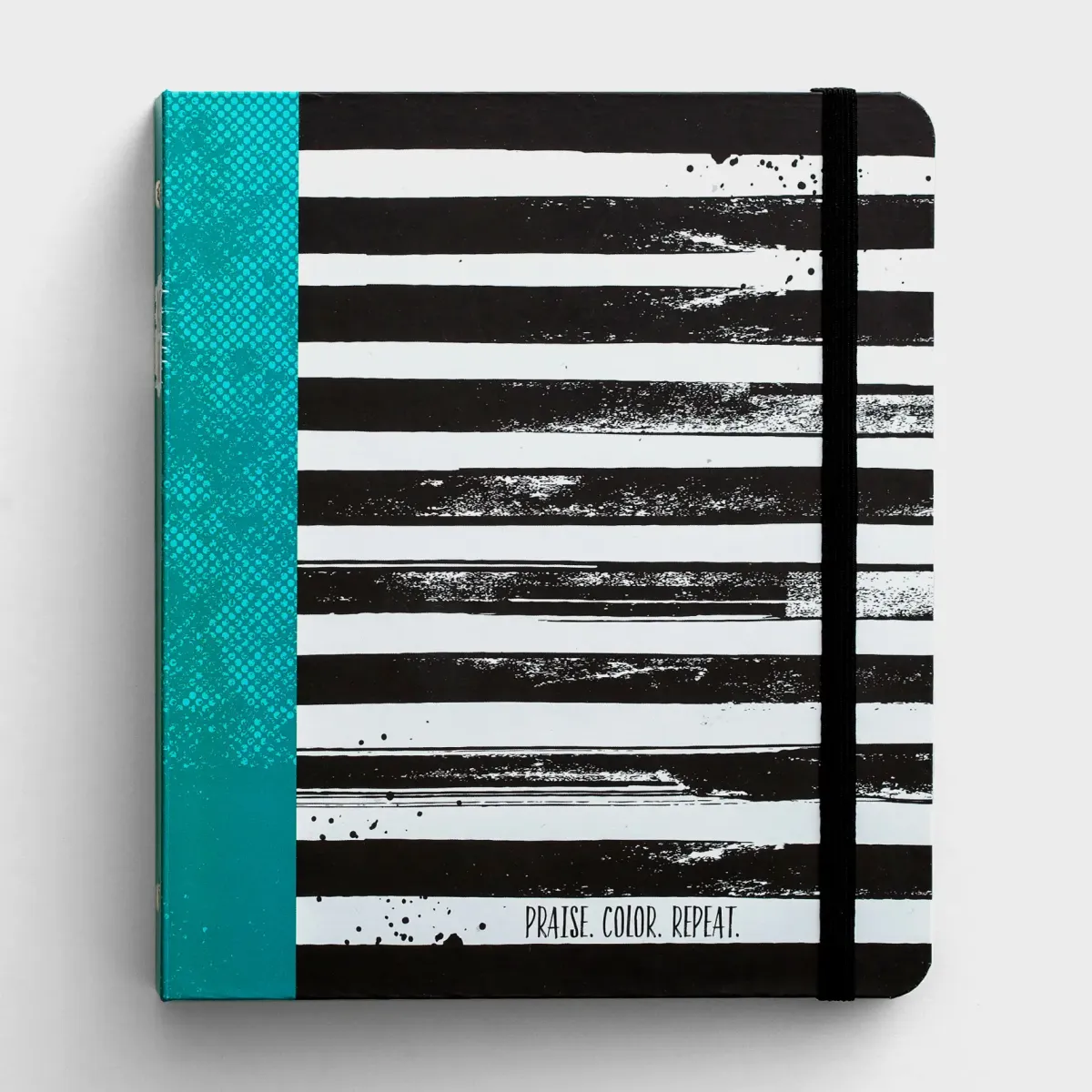 Journal Praise book - Illustrates Faith