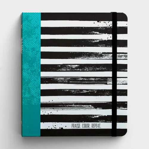 Journal Praise book - Illustrates Faith