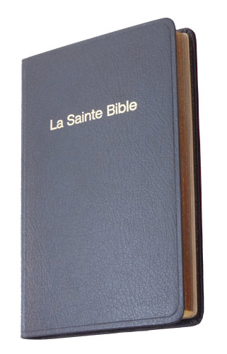 Bible Darby souple bleu/grenat