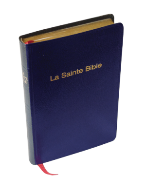 Bible Darby souple bleu/grenat