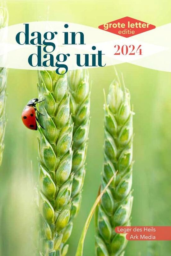 Calendrier - Dag in Dag uit extra grote letter (A5)
