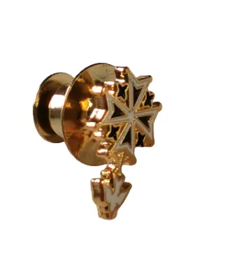 Pin's croix huguenote émail or