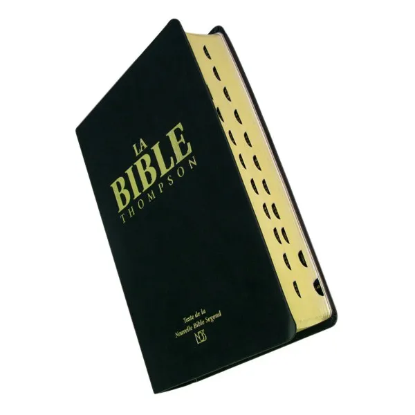 Bible NBS Thompson souple or onglets
