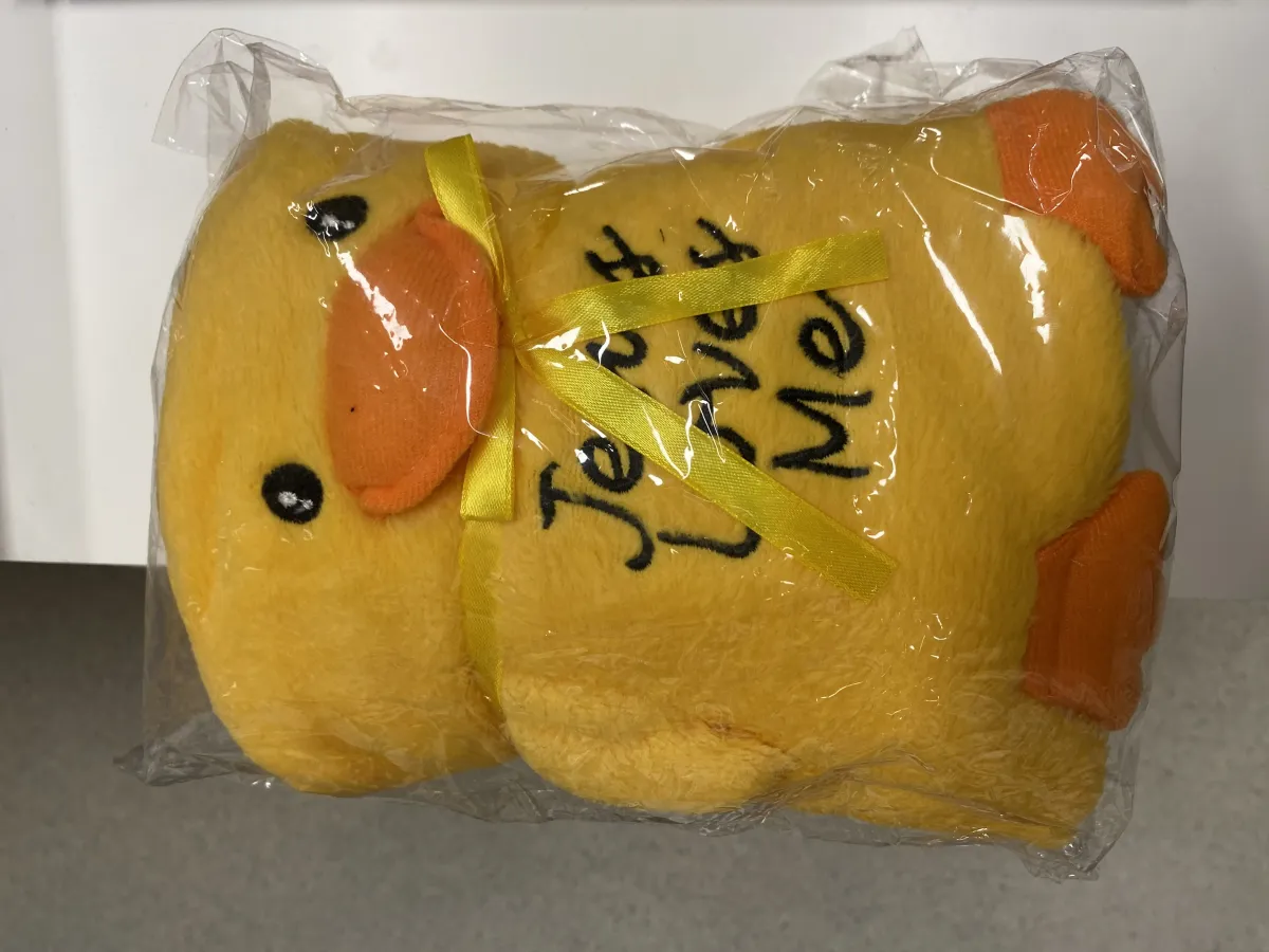Couverture Duck - Jesus Loves Me