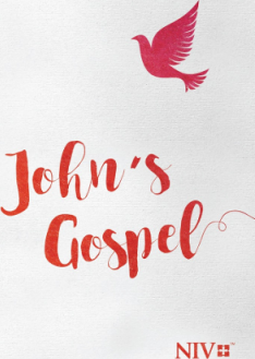 NIV John's gospel