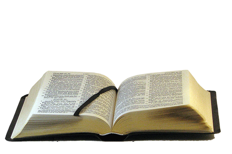 Darby Bible mini black - anglais [damaged]