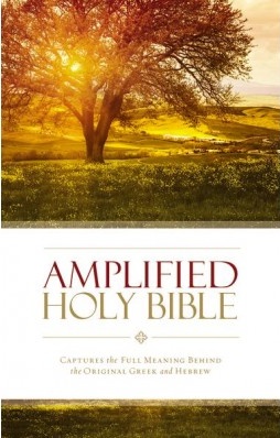 Amplified Holy Bible colour paperback