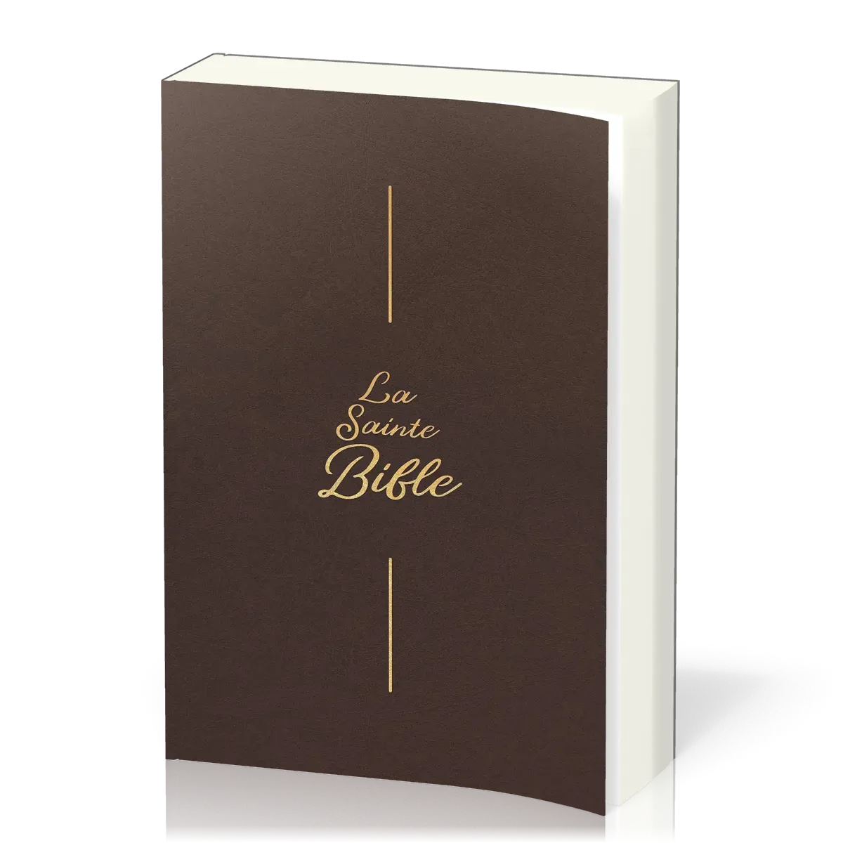 Bible Segond 1910 famille souple brun