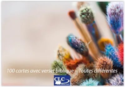 Lot 100 cartes - Emotions