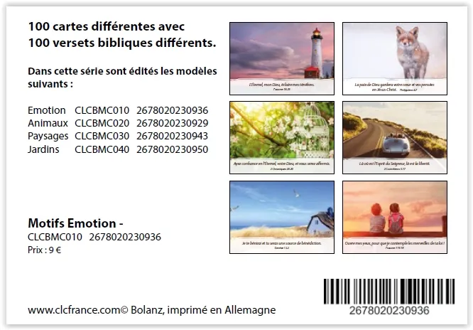 Lot 100 cartes - Emotions