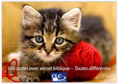 Lot 100 cartes - Animaux