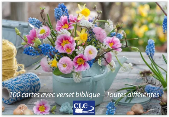 Lot 100 cartes - Jardins