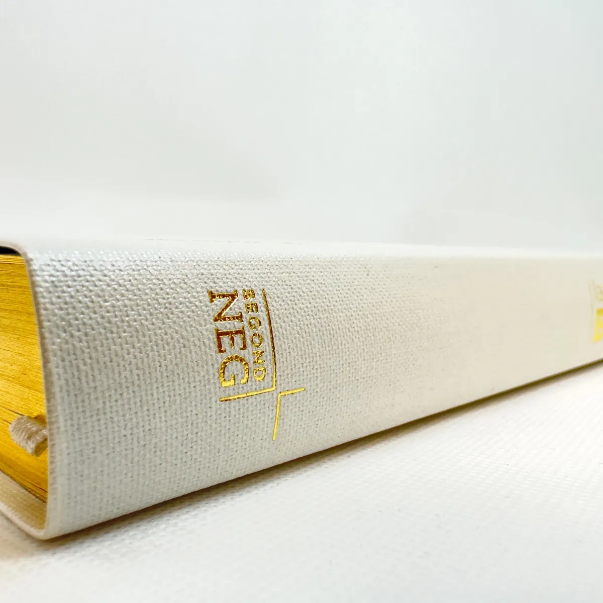 Bible NEG gros caractère souple toilée blanche