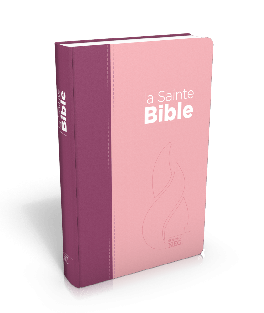 Bible NEG souple duo rose/violet textile