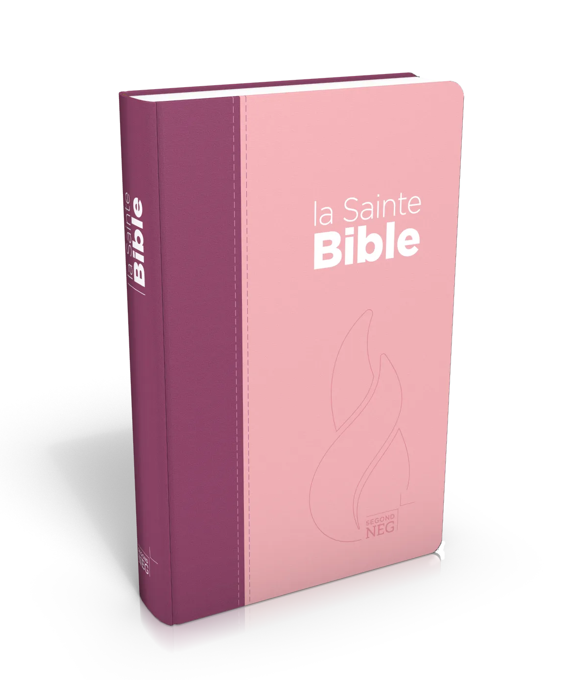 Bible NEG souple duo rose/violet textile