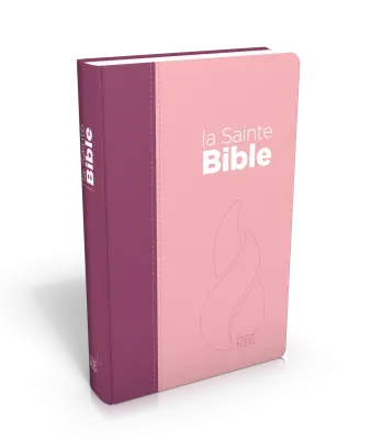 Bible NEG souple duo rose/violet textile