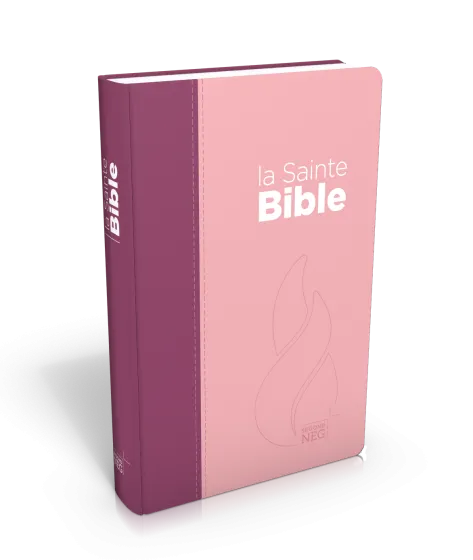 Bible NEG souple duo rose/violet textile