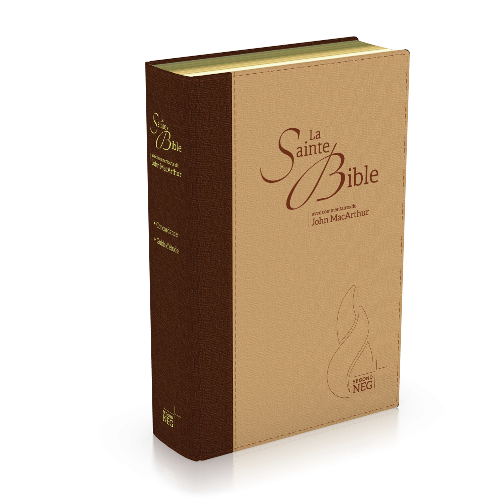Bible NEG MacArthur souple duo marron/beige or onglets