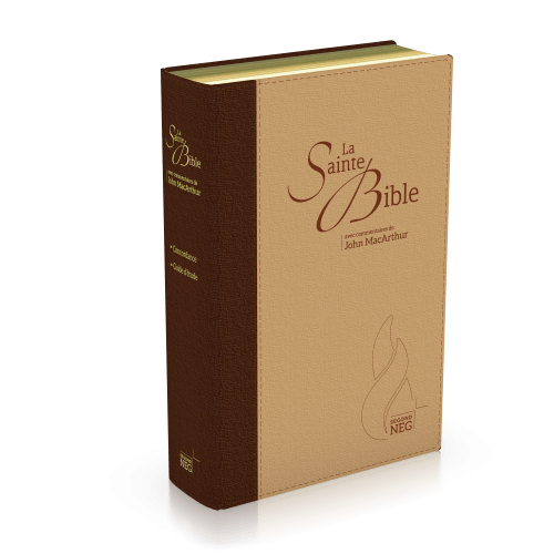 Bible NEG MacArthur souple duo marron/beige or onglets