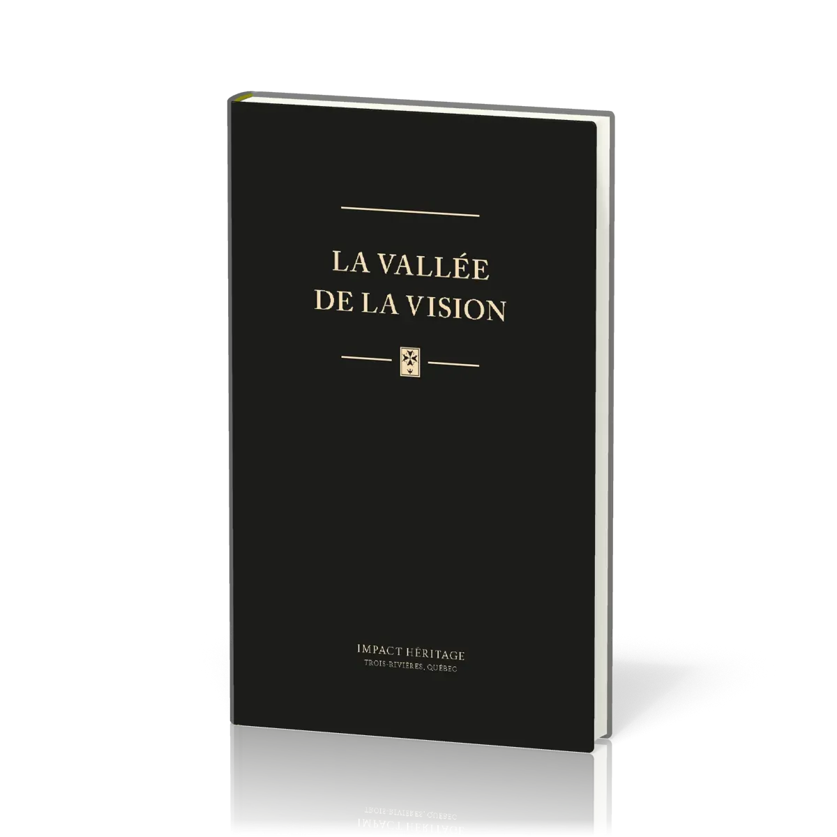 Vallée de la vision, La (relié, cuir noir or)