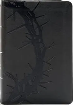 KJV Bible LP compact charcoal