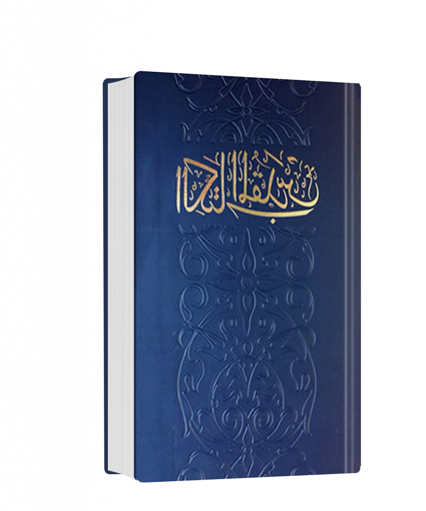 Bible arabe NVD rigide bleu