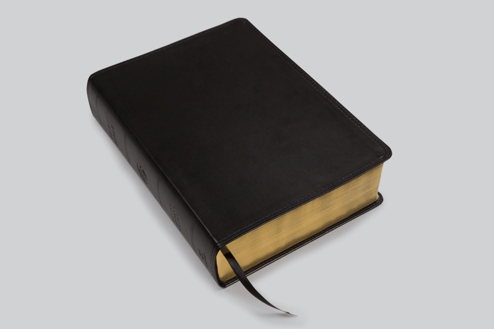 ESV Bible super giant print black