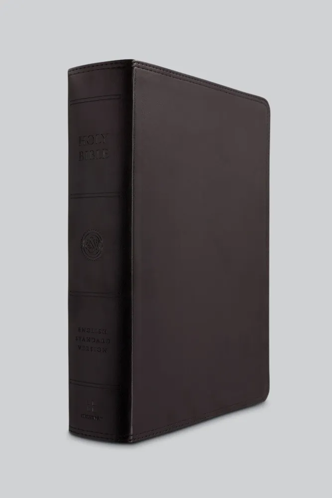 ESV Bible super giant print black