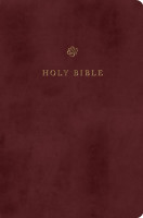 ESV gift and award Bible trutone burgundy