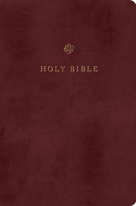 ESV gift and award Bible trutone burgundy