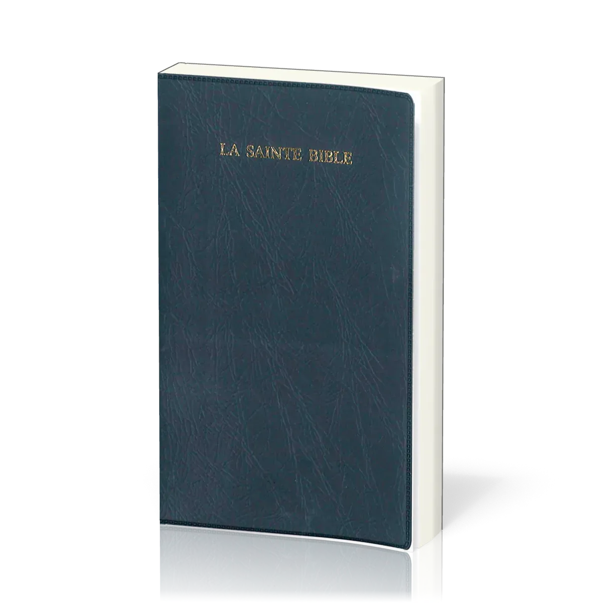 Bible Segond 1910 souple marine onglets