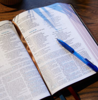 ESV The MacArthur study Bible (second edition) hardcover