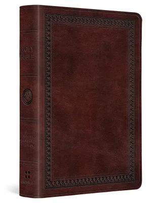 ESV value LP compact Bible - brown