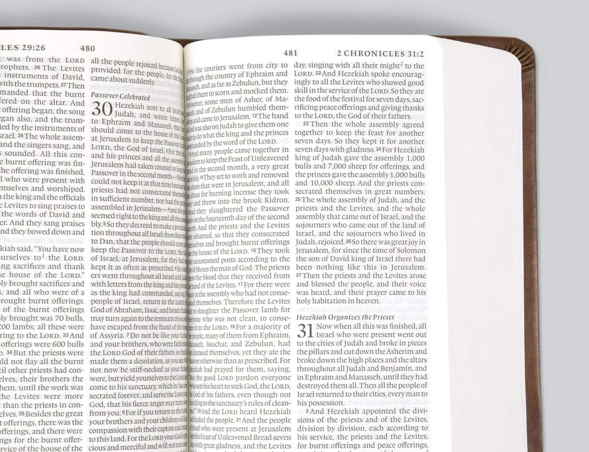 ESV value LP compact Bible - brown