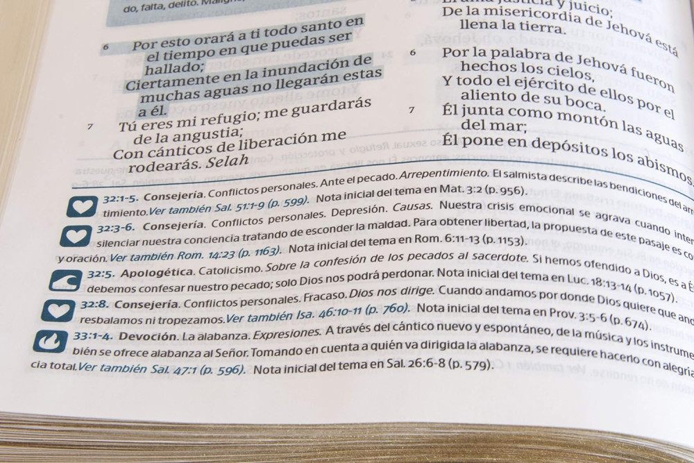 RVR 1960 Biblia del Pescador - letra grande