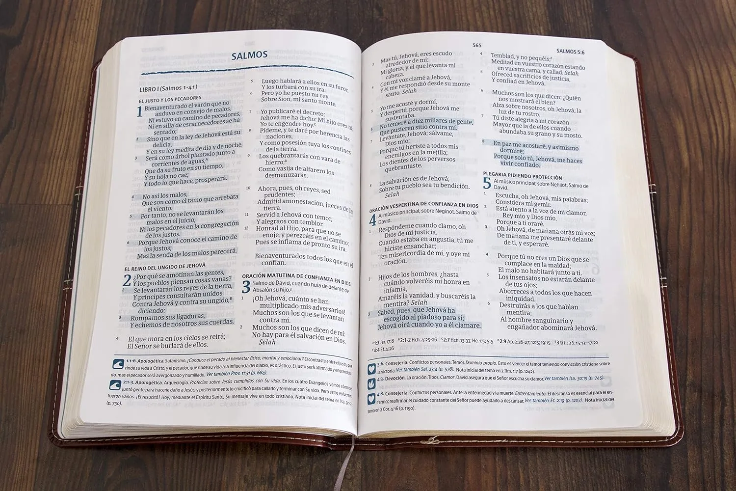 RVR 1960 Biblia del Pescador - letra grande